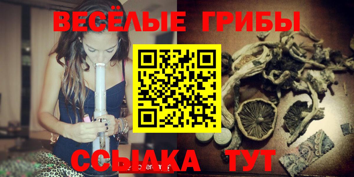 Королёв  Псилоцибиновые грибы Psilocybe  Галлюциногенные грибы мицелий  Вход с VPN 
